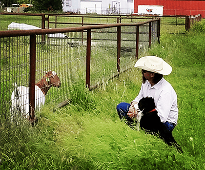 From Ranch to Table: The Story Behind GWT Beef