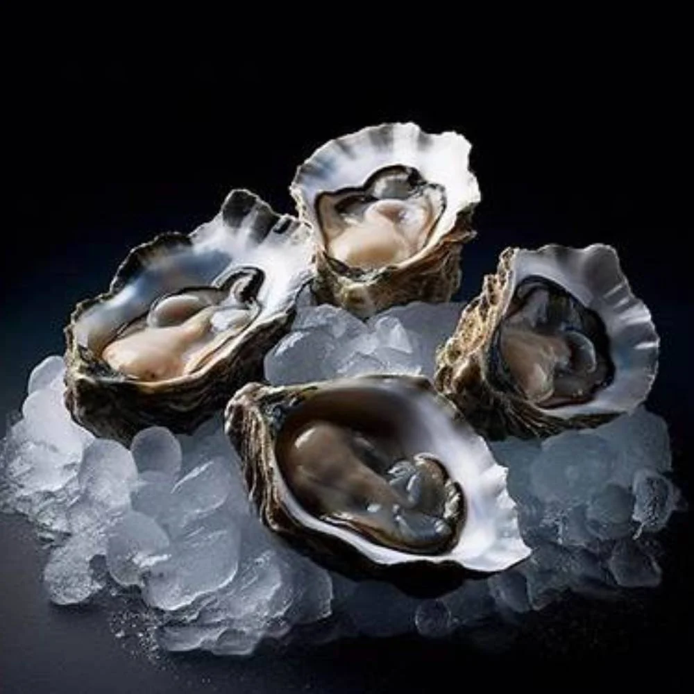 Fresh Gulf oysters